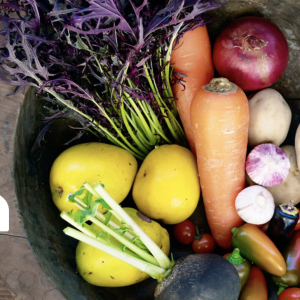 カフェレストラン亜詩麻